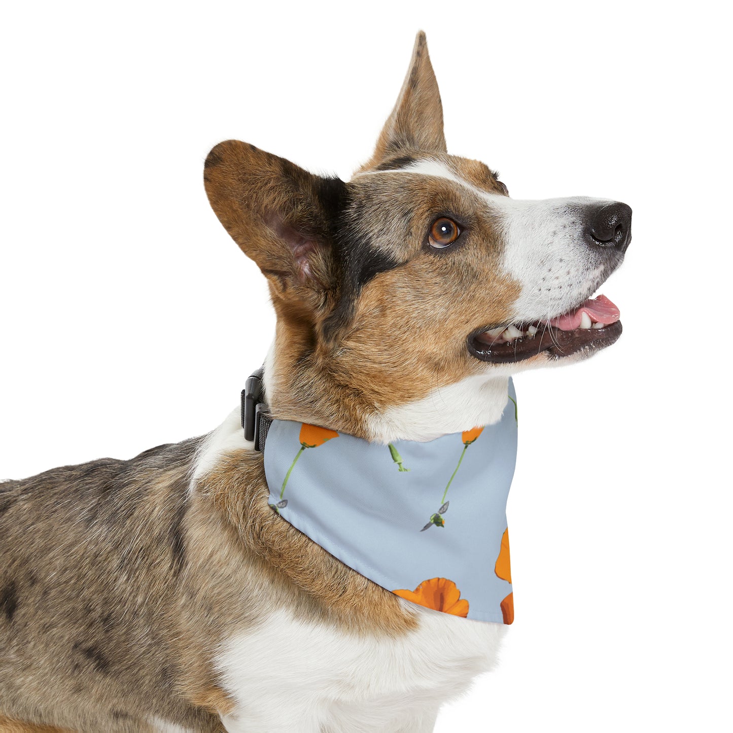 Poppies and Bees Pet Bandana Collar