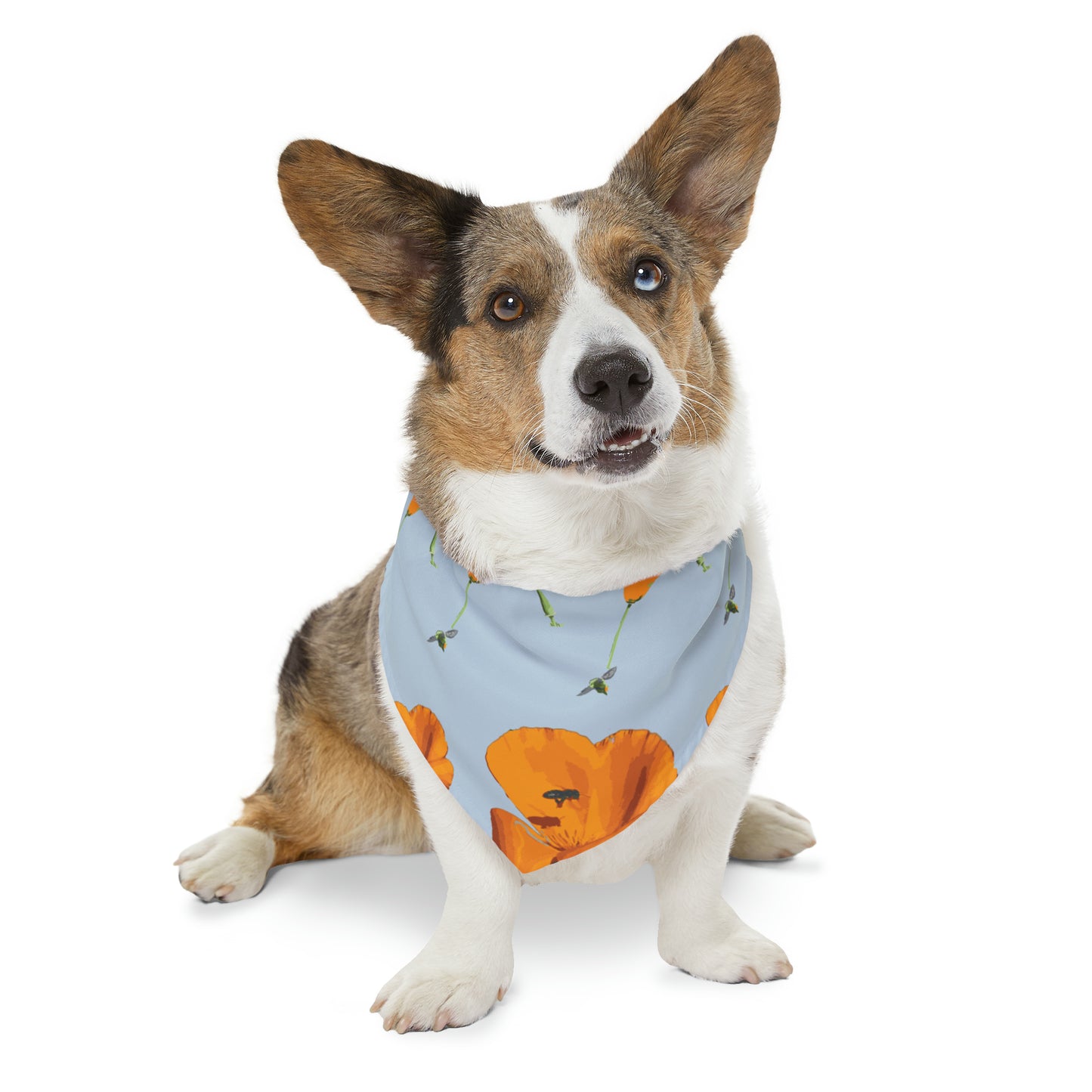 Poppies and Bees Pet Bandana Collar
