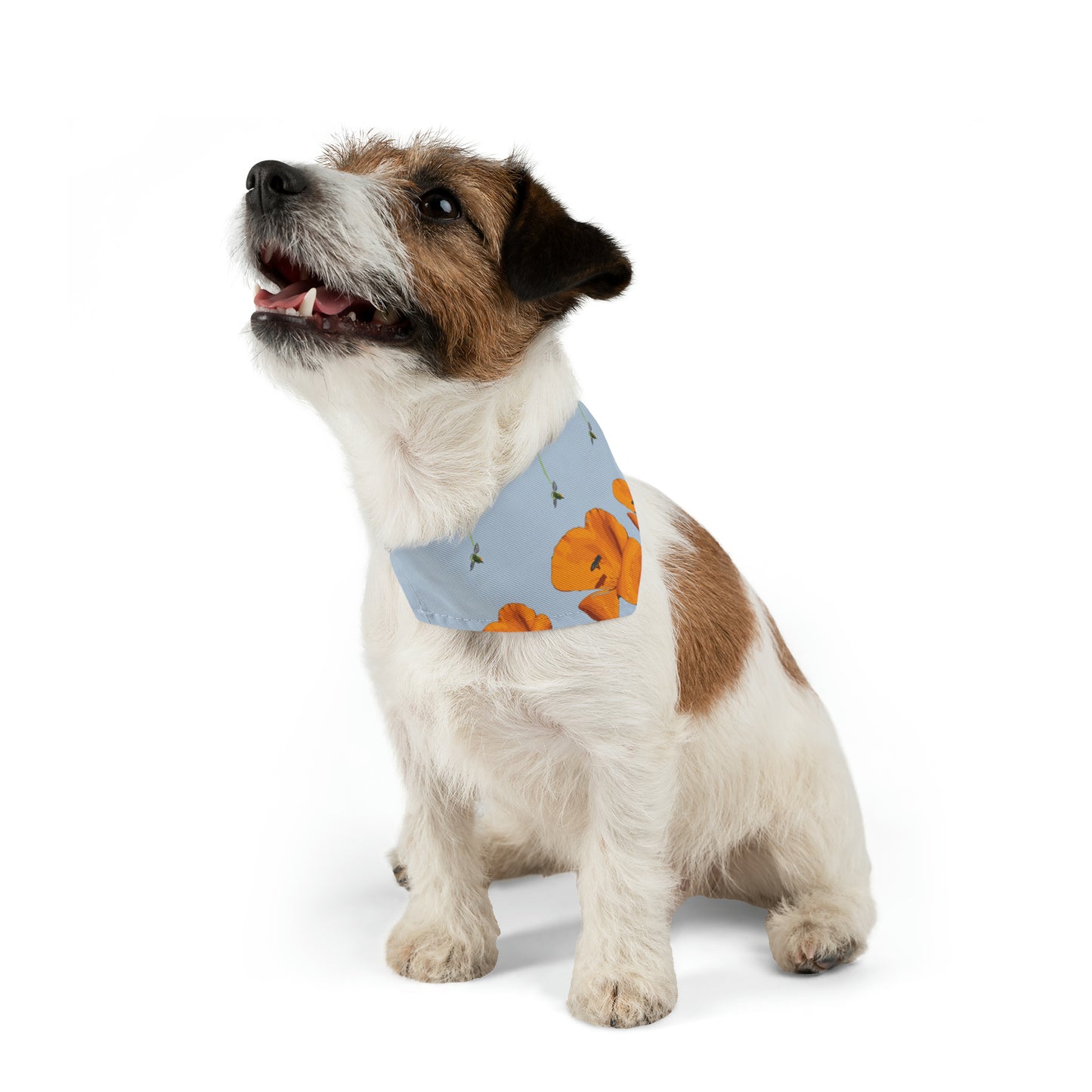 Poppies and Bees Pet Bandana Collar