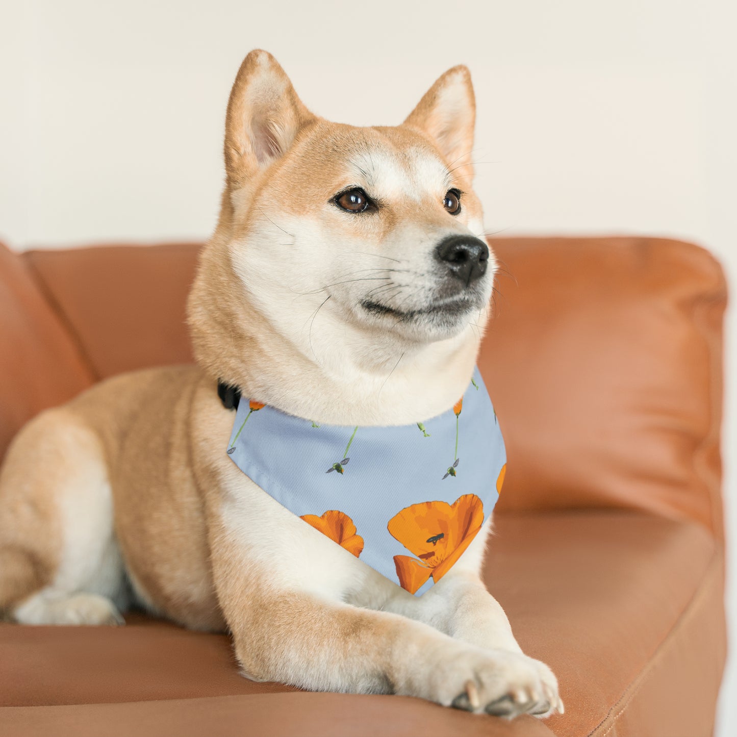 Poppies and Bees Pet Bandana Collar