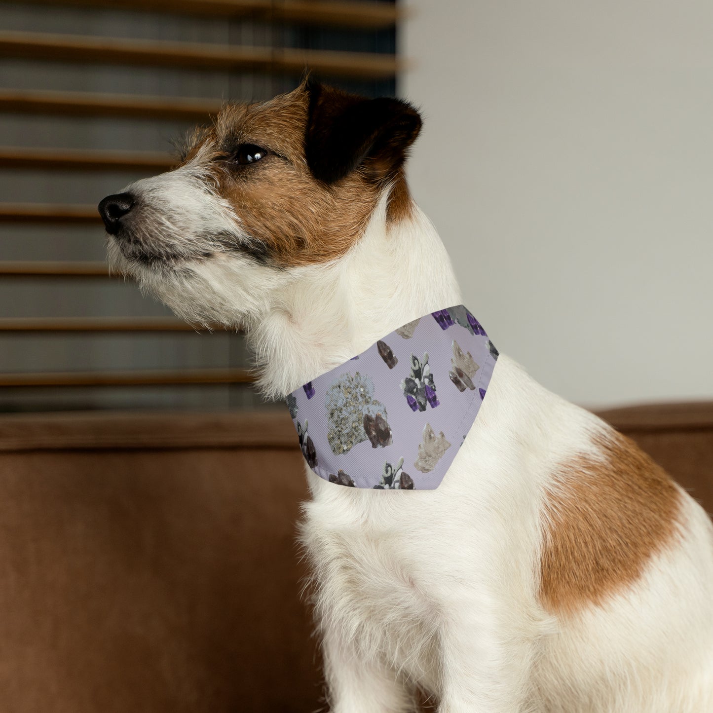 Natural Crystal Pet Bandana Collar