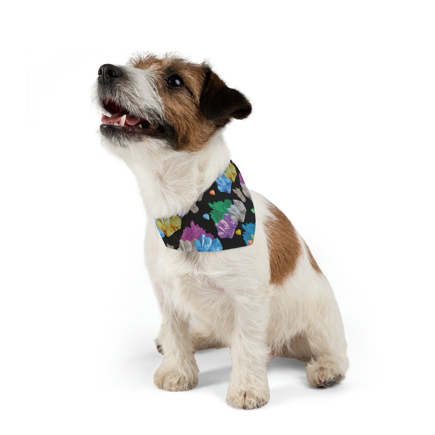 Vibrant Crystal Pet Bandana Collar