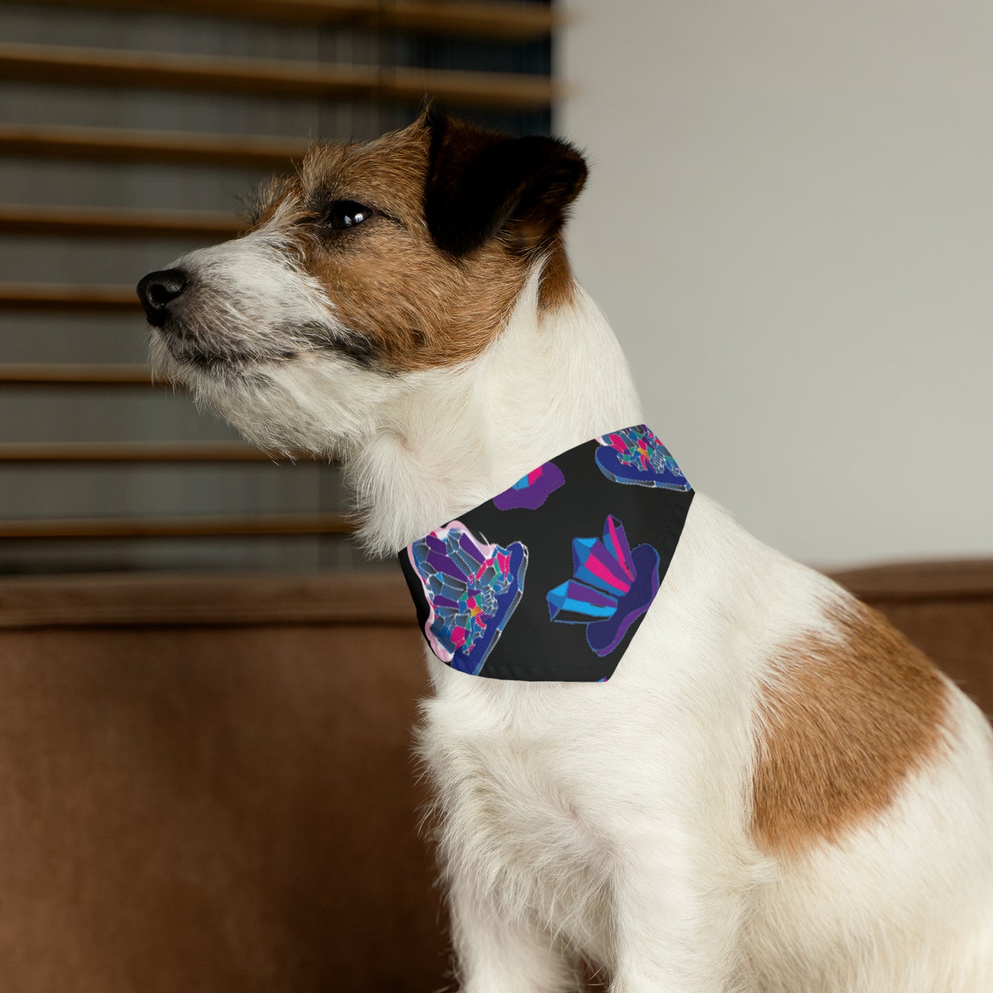 Crystal Pet Bandana Collar