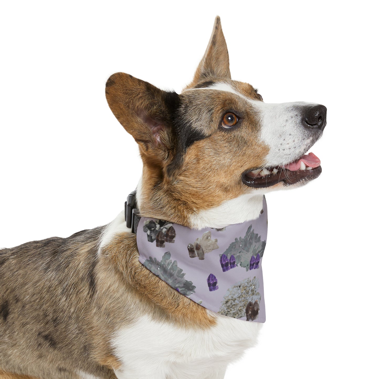 Natural Crystal Pet Bandana Collar