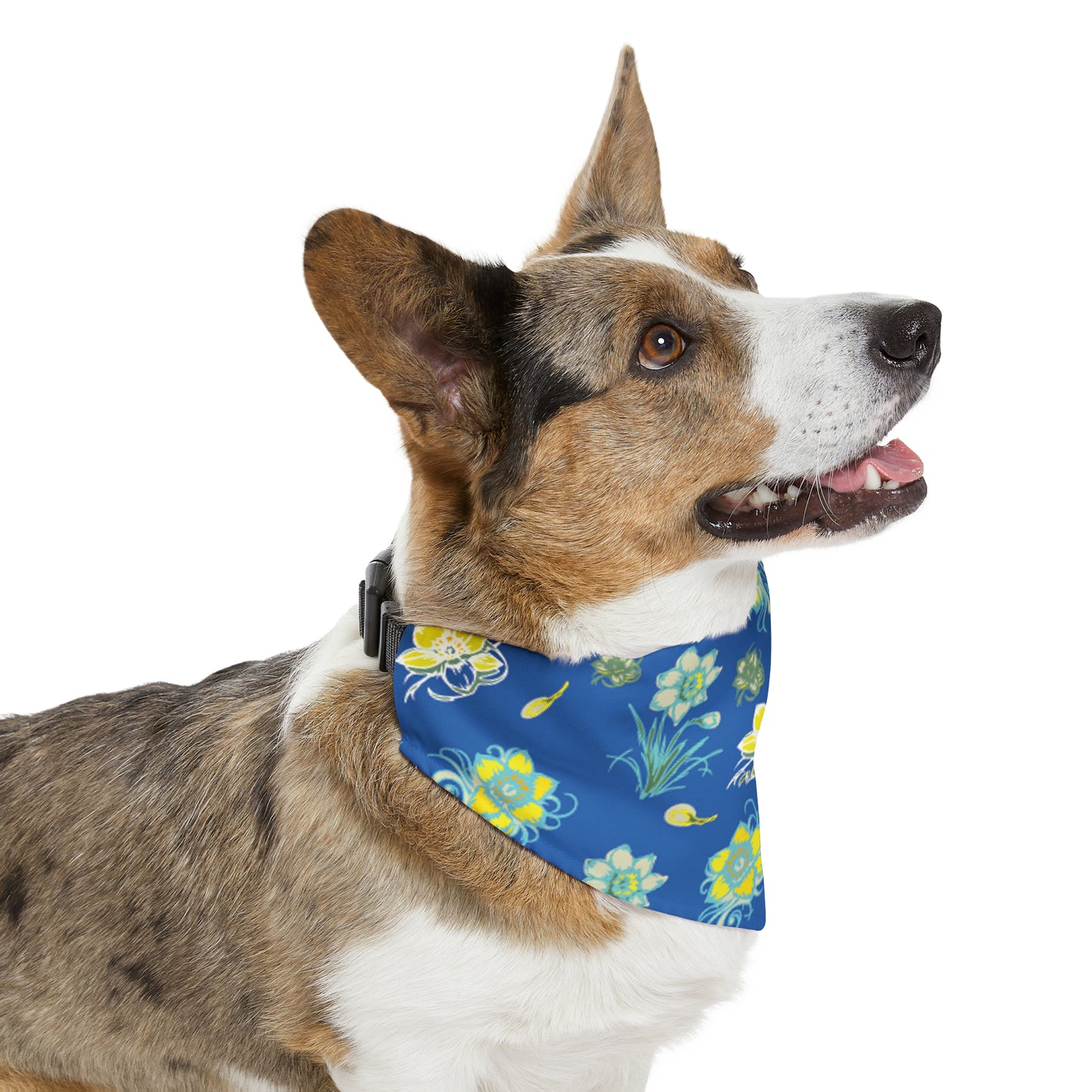 Pet Bandana Collar