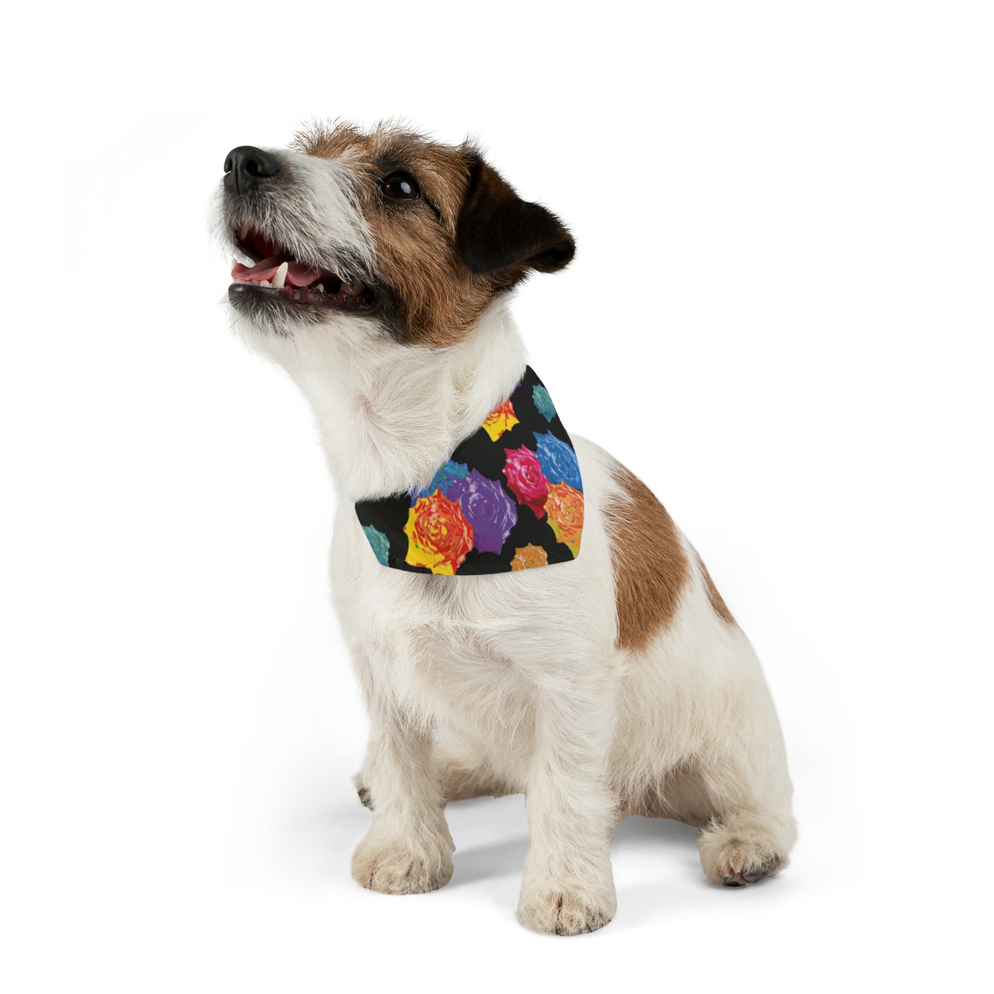 Roses Pet Bandana Collar