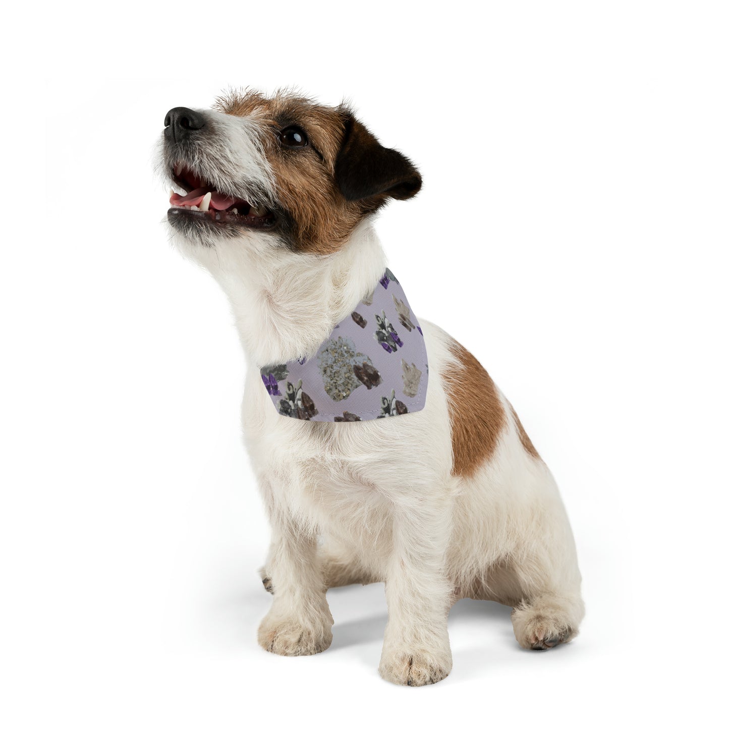 Natural Crystal Pet Bandana Collar