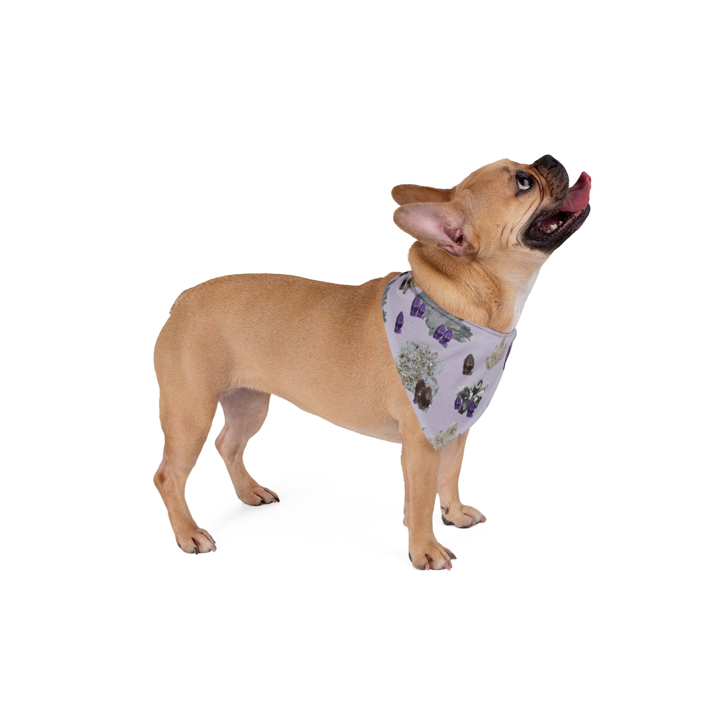 Natural Crystal Pet Bandana