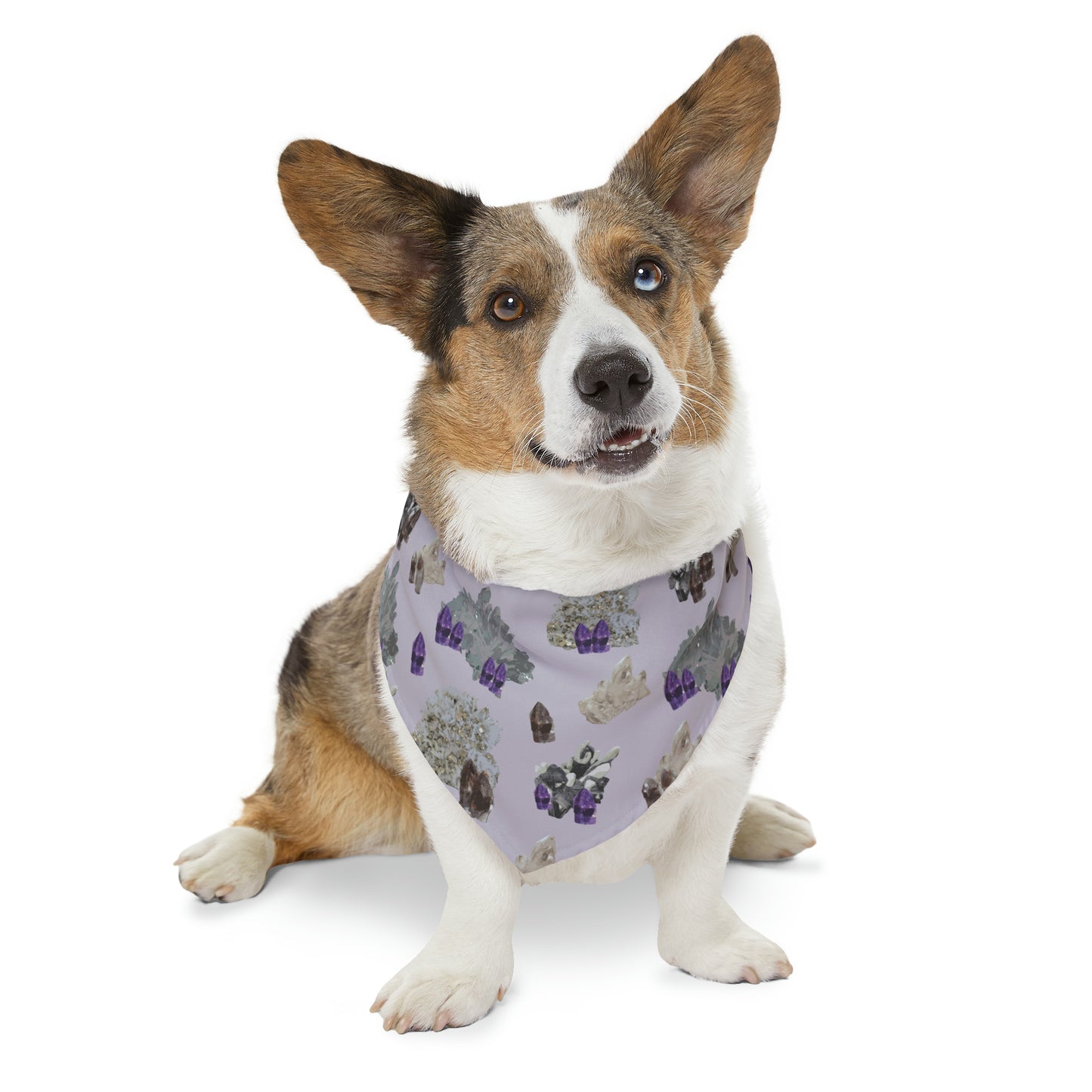 Natural Crystal Pet Bandana Collar