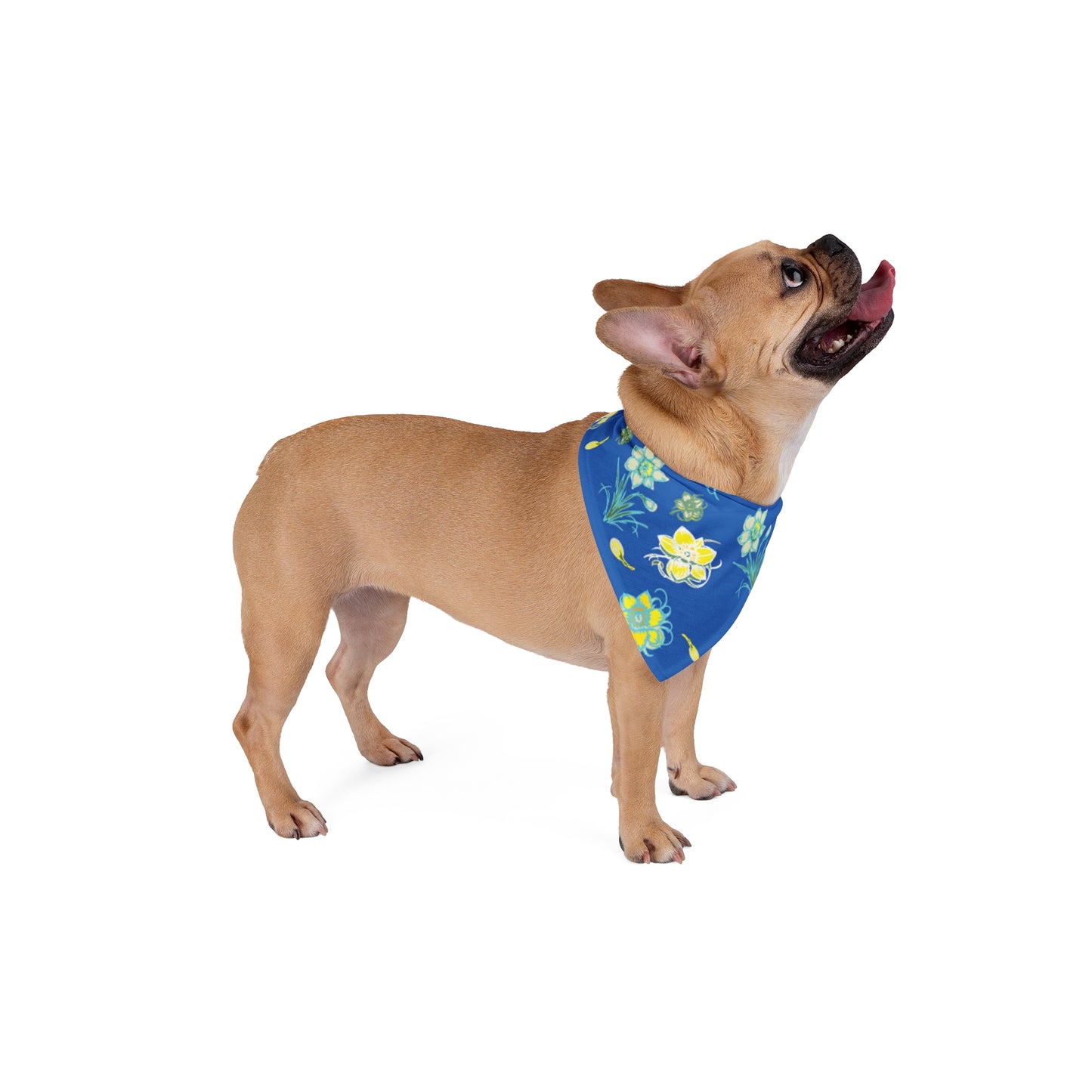 Daffodil Pet Bandana