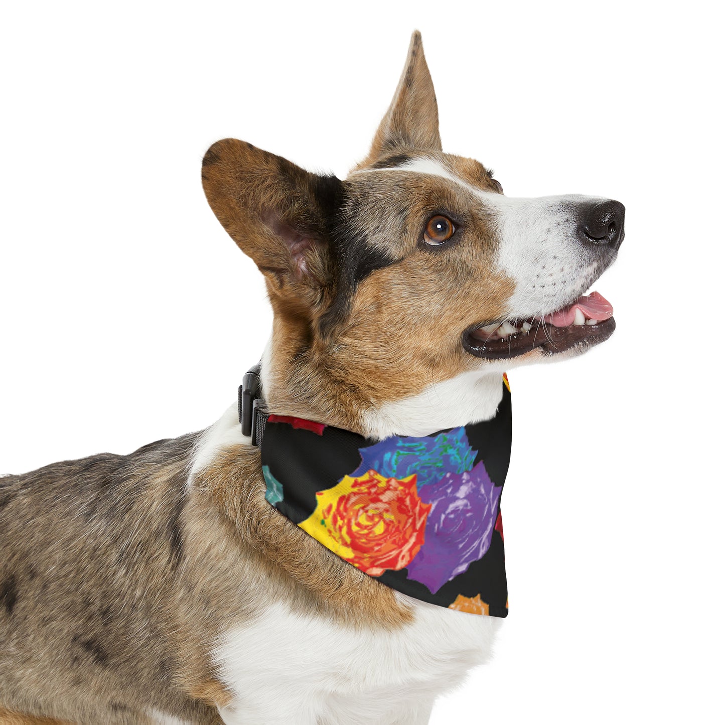 Roses Pet Bandana Collar