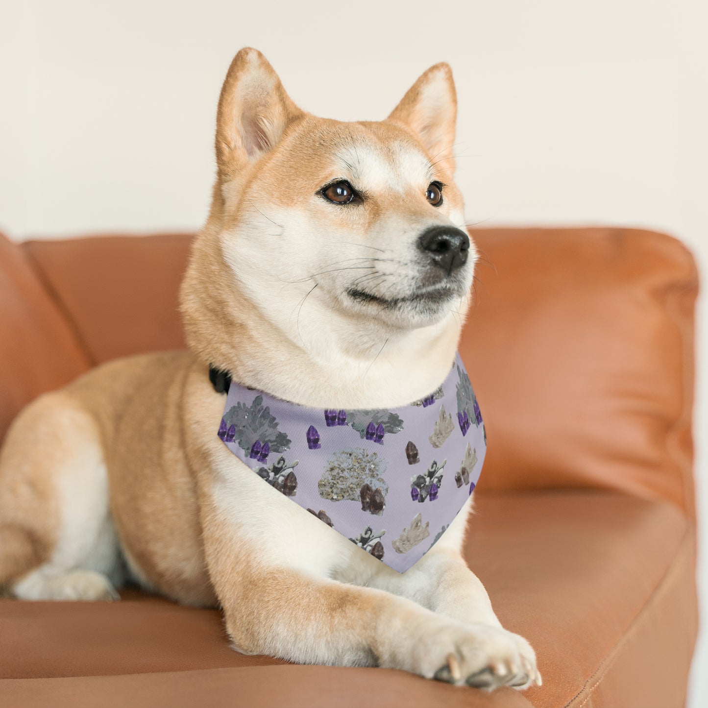 Natural Crystal Pet Bandana Collar